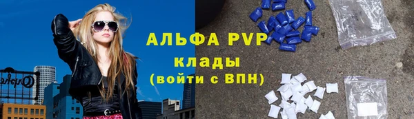 винт Алзамай
