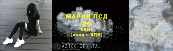 винт Аркадак