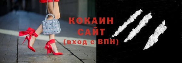 гашик Арсеньев