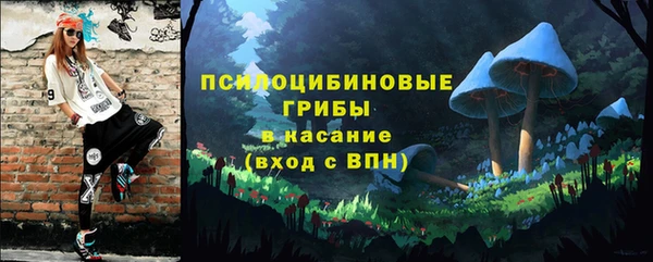 гашик Арсеньев