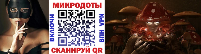 Псилоцибиновые грибы Cubensis  купить наркоту  Талица 